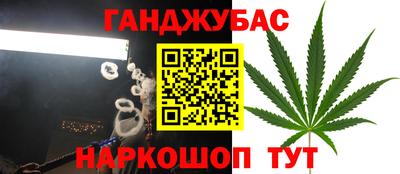 дмт Кандалакша