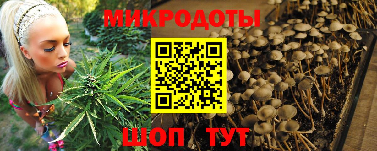 Красный Сулин  магазин  наркотиков  Вход с VPN  Галлюциногенные грибы прущие грибы 